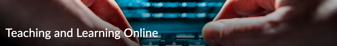 Teaching and Learning Online logo